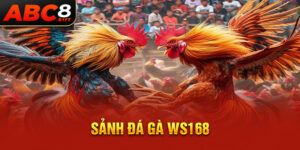 sanh-da-ga-ws168