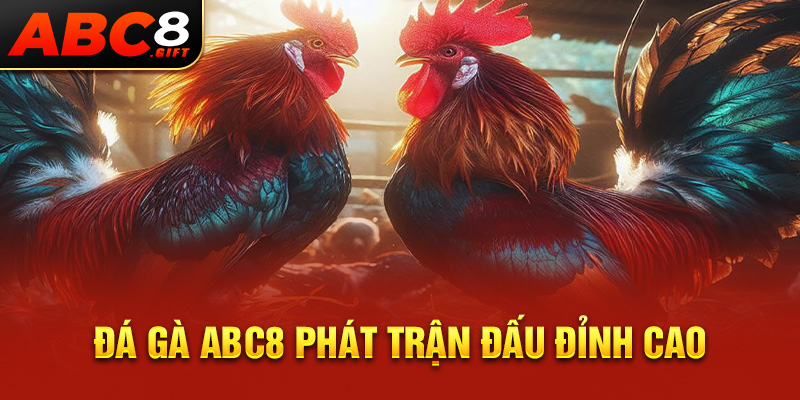 da-ga-abc8-phat-tran-dau-dinh-cao